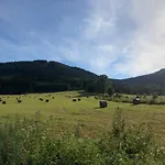 Stolove Chatki Радкув