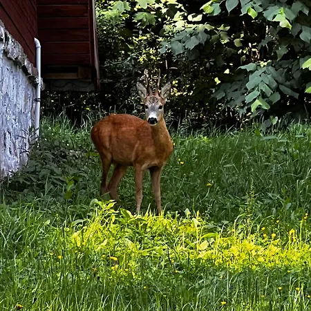 Stolove Chatki * Radkow