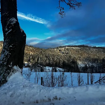 Stolove Chatki Radkow