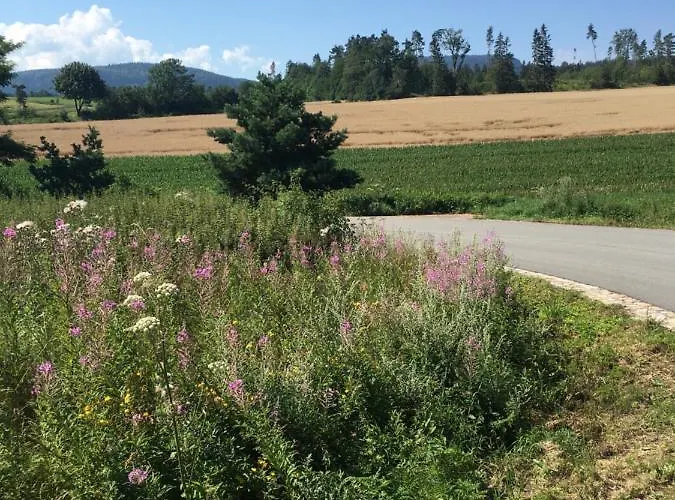 Stolove Chatki * Radkow