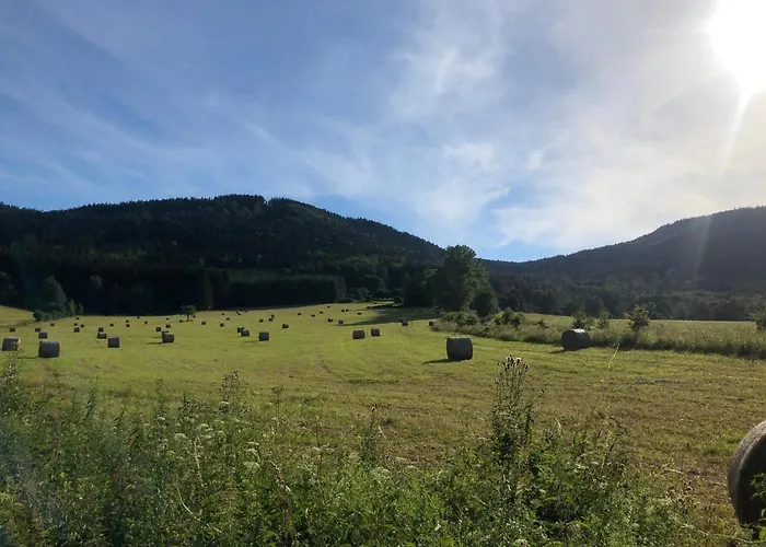 Stolove Chatki Radkow