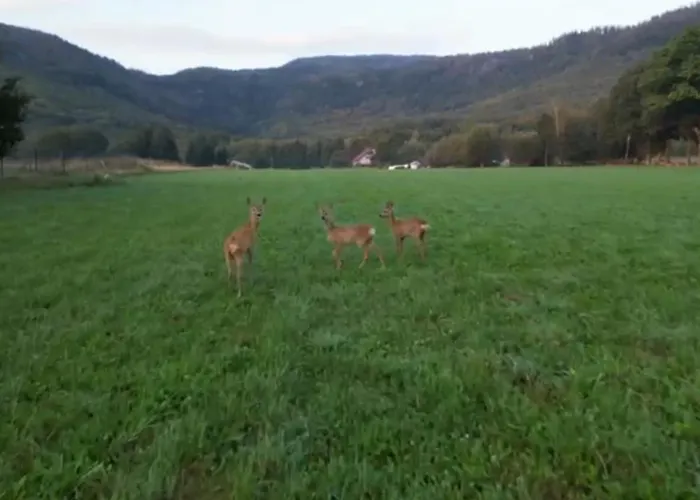 Stolove Chatki * Radkow