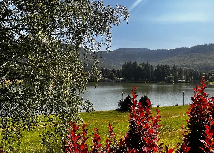 Stolove Chatki Radkow