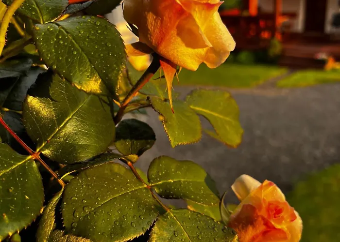 Holiday home Stolove Chatki