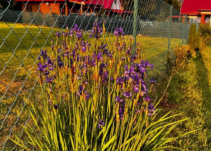 Casa de Férias Stolove Chatki