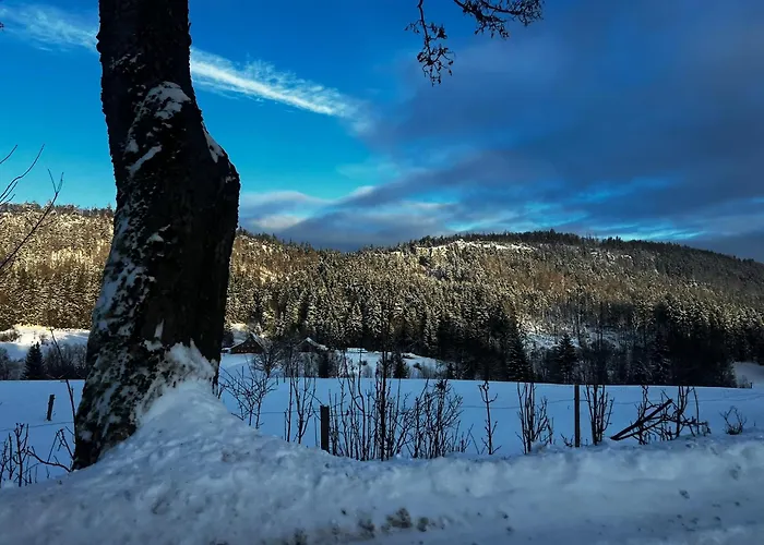 Stolove Chatki Radkow